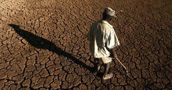 Prejuízo com seca no Nordeste supera R$ 12 bilhões, prevê governo